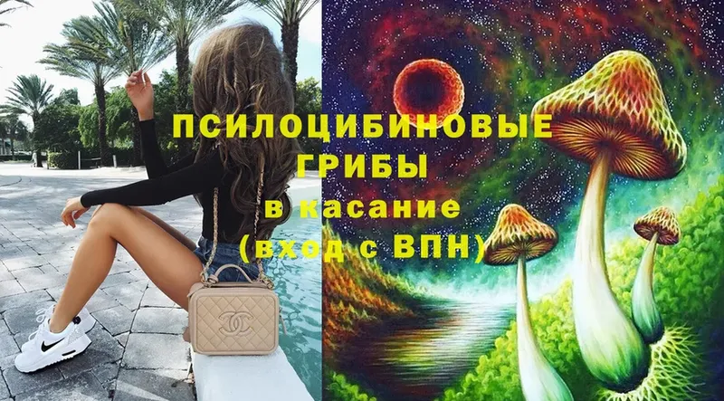 Псилоцибиновые грибы MAGIC MUSHROOMS Сим